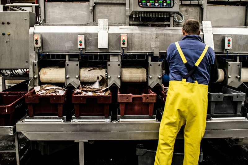 Man in gele werkbroek aan het werk in fabriek